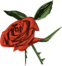 Picture of a rose.